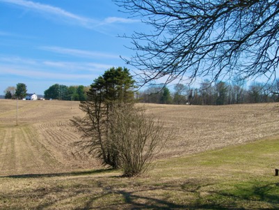 Gist Farm during the fall